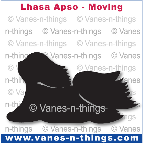 148 Lhasa Apso Moving