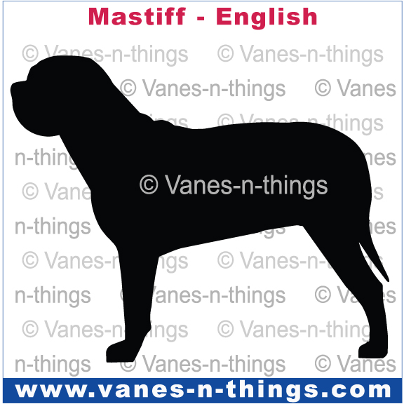 151 Mastiff English