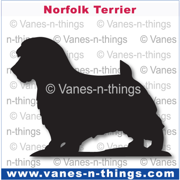 156 Norfolk Terrier