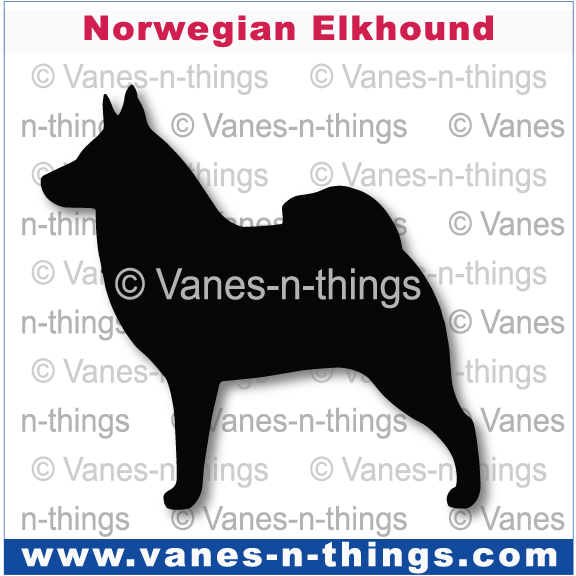 157 Norwegian Elkhound
