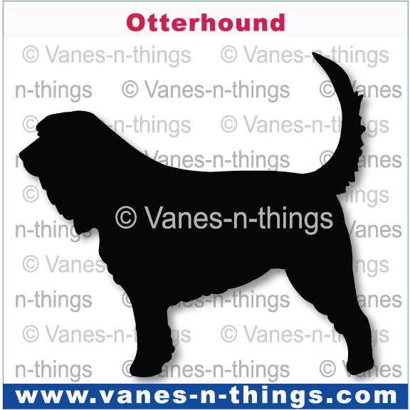 162 Otterhound