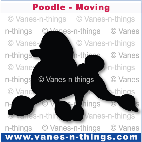 171 Poodle Moving