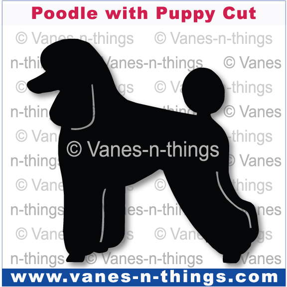 170 Poodle Puppy Cut