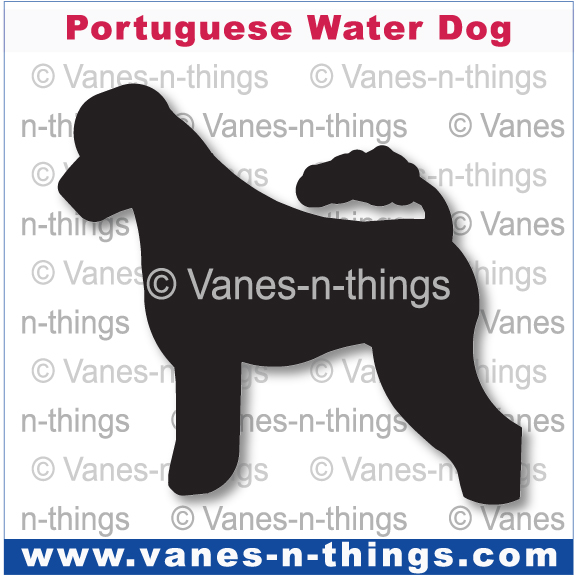 175 Portuguese Water Dog