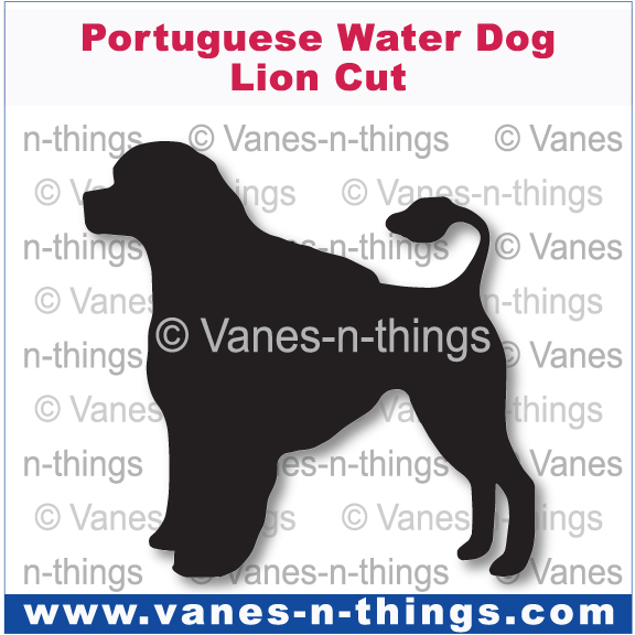 176 Portuguese Water Dog Lion Cut