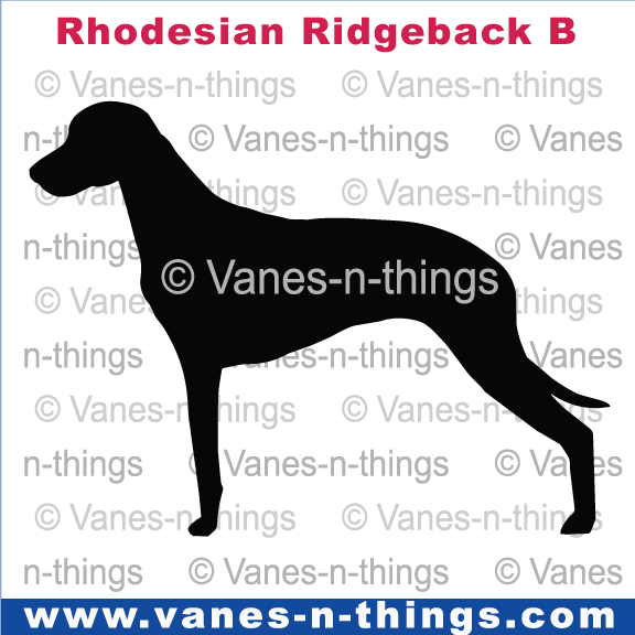 188 Rhodesian Ridgeback B