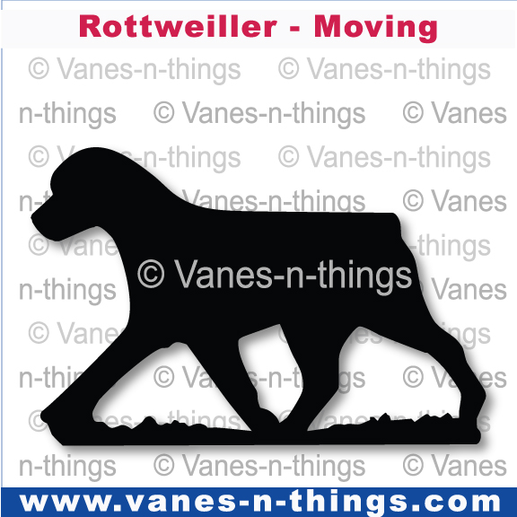191 Moving Rottweiler