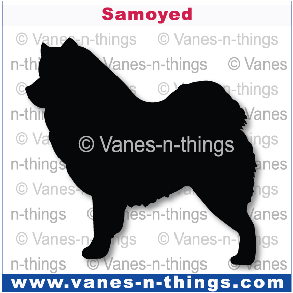 194 Samoyed