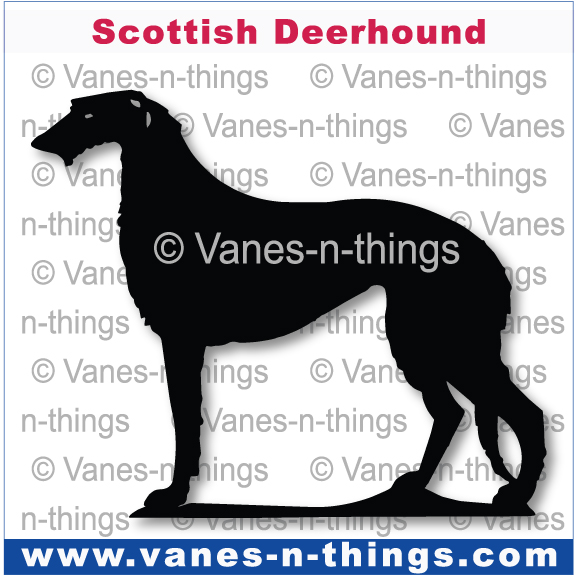 198 Scottish Deerhound