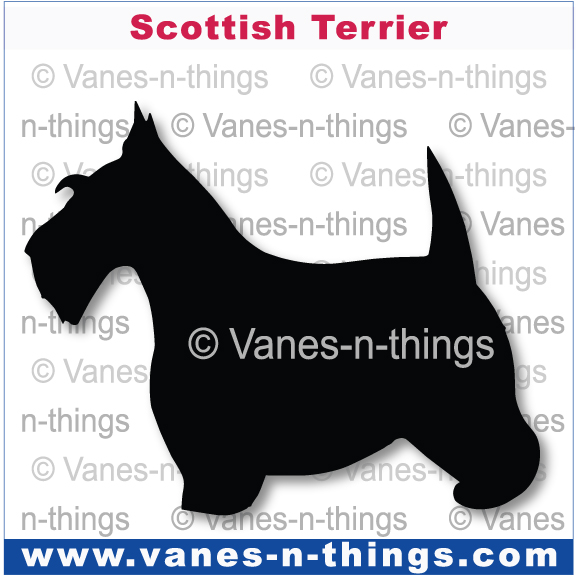 200 Scottish Terrier