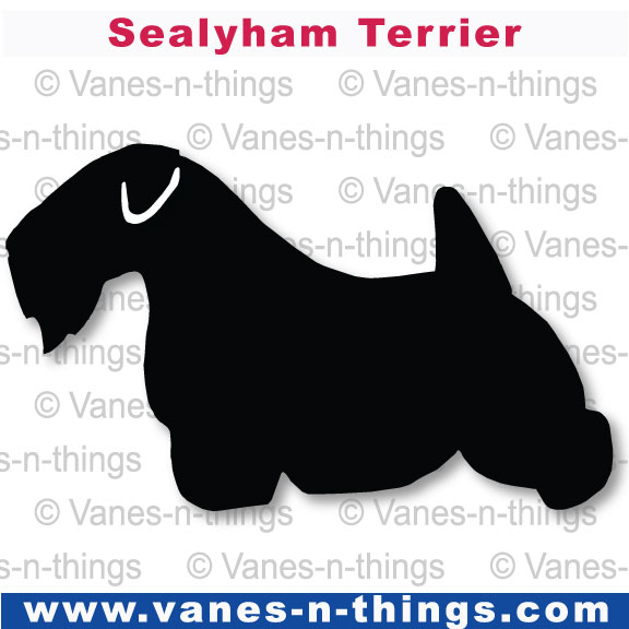 201 Sealyham Terrier