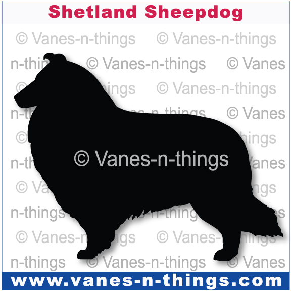 209 Shetland Sheepdog