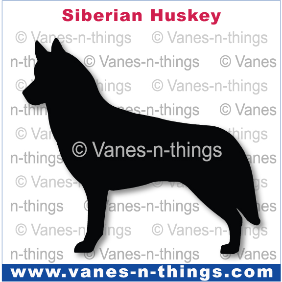 214 Siberian Huskey