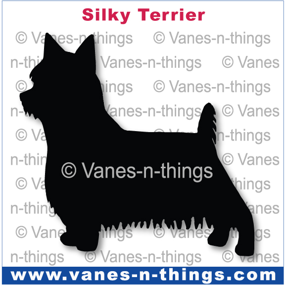 215 Silky Terrier
