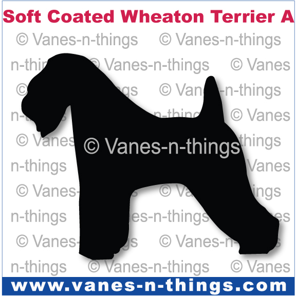 218 Soft Coated Wheaton  Terrier A