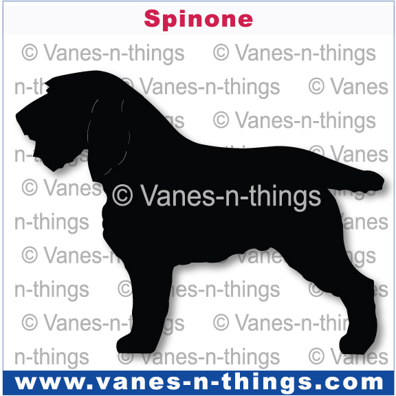 220 Spinone