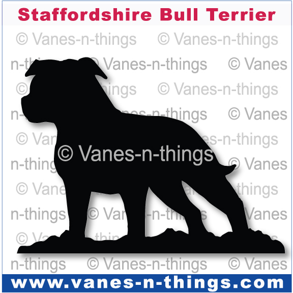 221 Staffordshire Bull Terrier A
