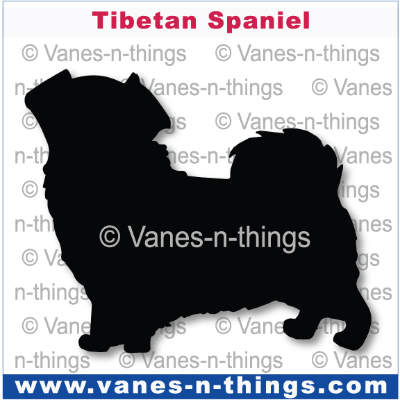 225 Tibetan Spaniel