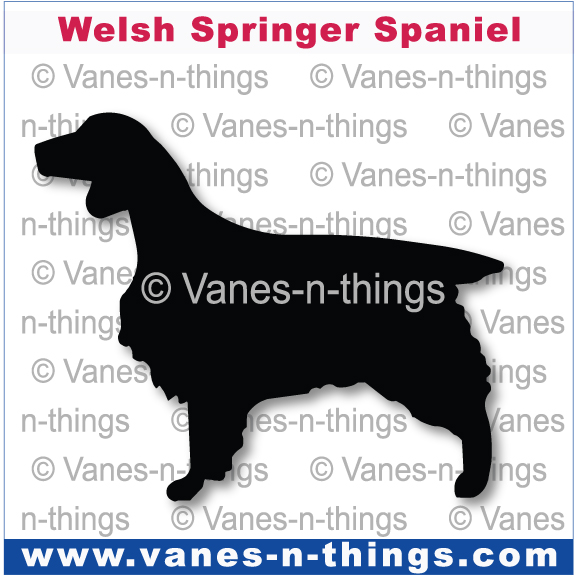 234 Welsh Springer Spaniel