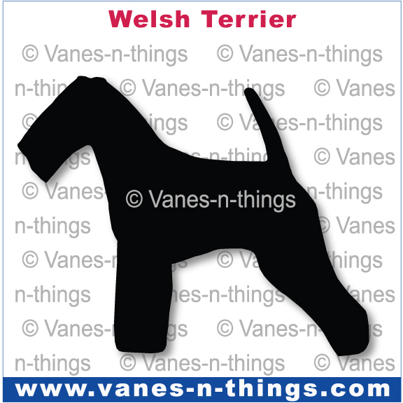 235 Welsh Terrier