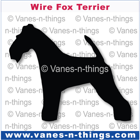 238 Wire Fox Terrier