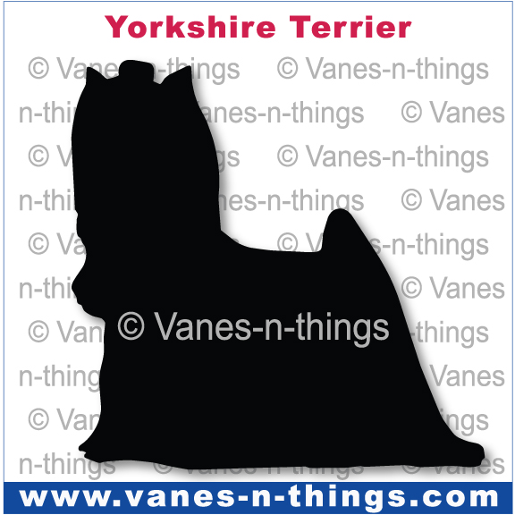 239 Yorkshire Terrier