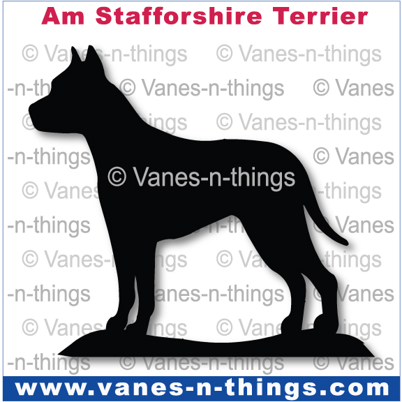 008 American Staffordshire Terrier