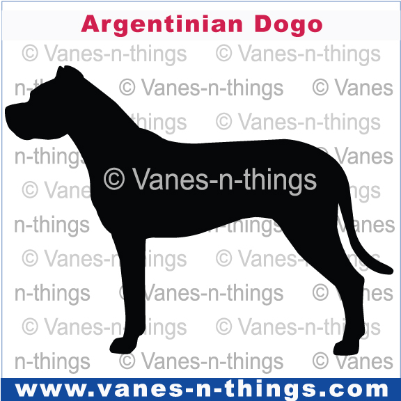 010 Argentinian Dogo
