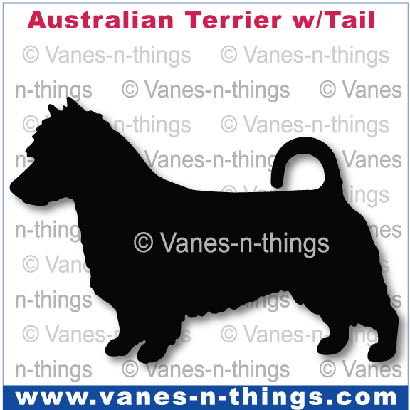 016 Australian Terrier (Docked Tail)