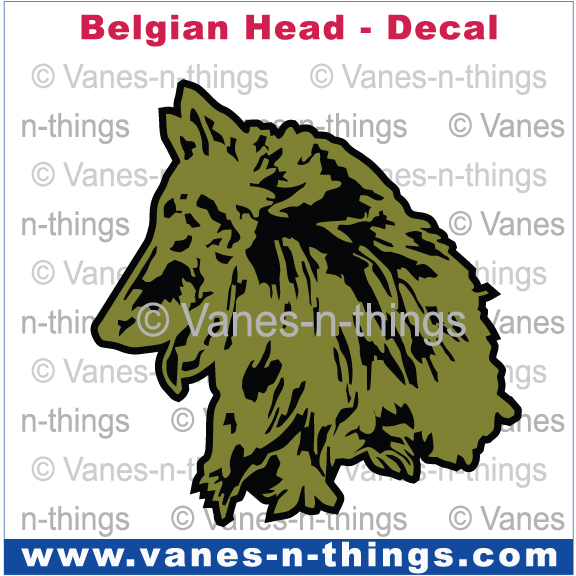 026 Belgian Malinois