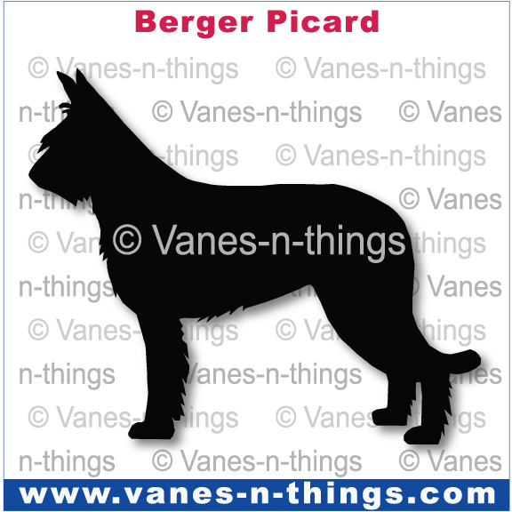 031 Berger Picard