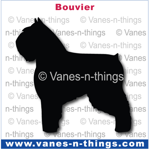 043 Bouvier