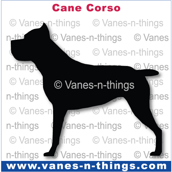060 Cane Corso