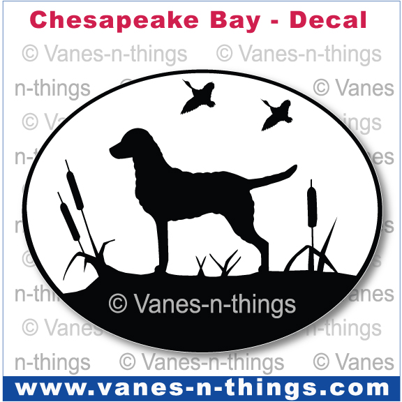 063 Chesapeake Bay Retriever