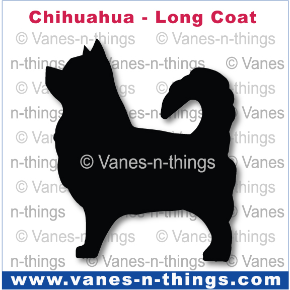 066 Chihuahua Long Haired