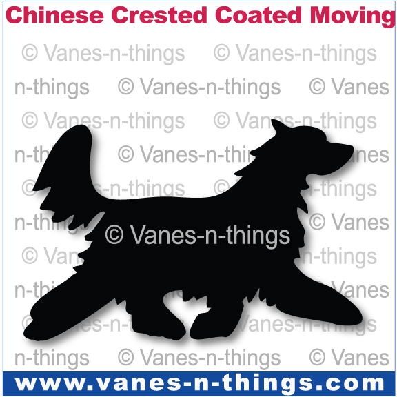 068 Chinese Crested Dog Moving