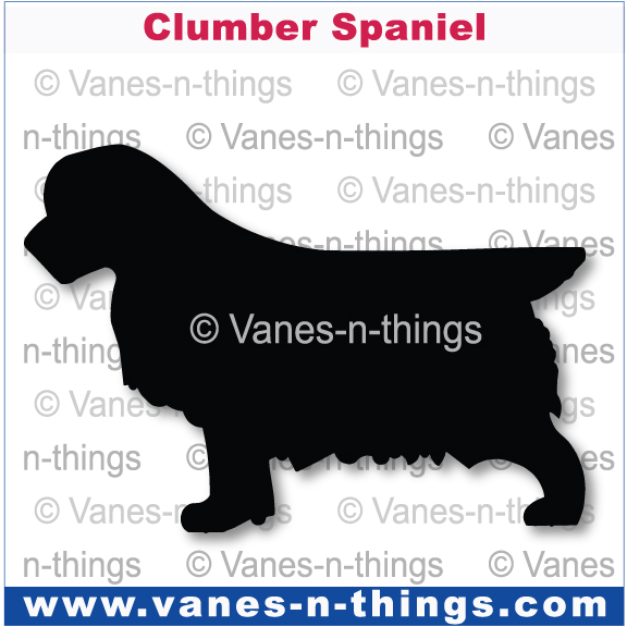 072 Clumber Spaniel