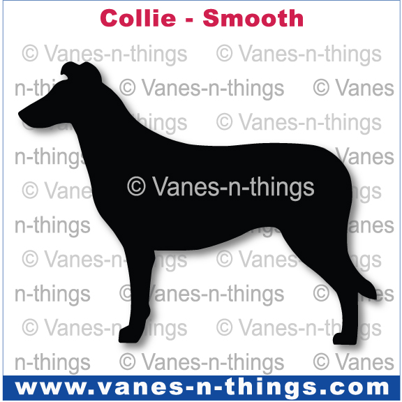 076 Collie (Smooth)