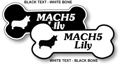 Personalized Text on Large Magnetic Bone