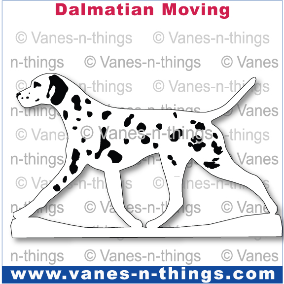 084 Dalmatian Moving