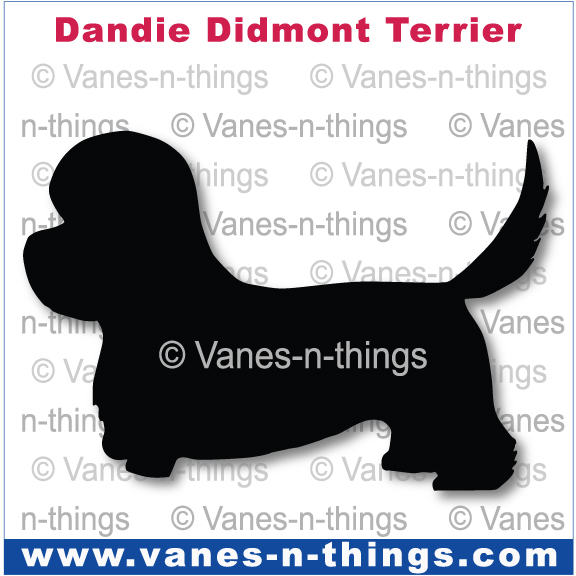 085 Dandie Didmont