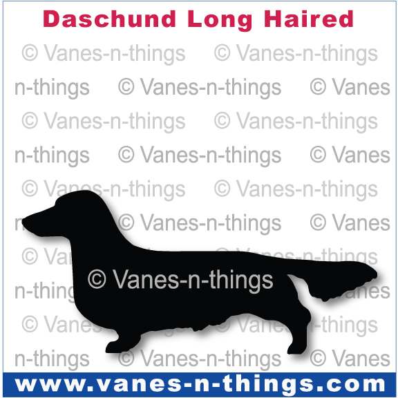 087 Dachshund Long Haired