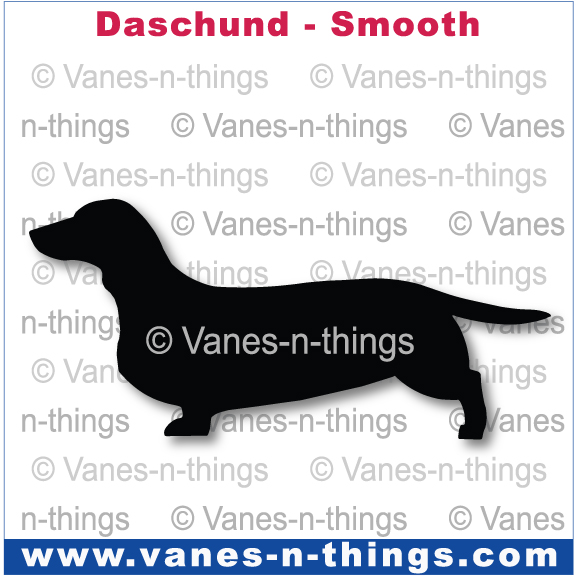 086 Dachshund (Smooth)