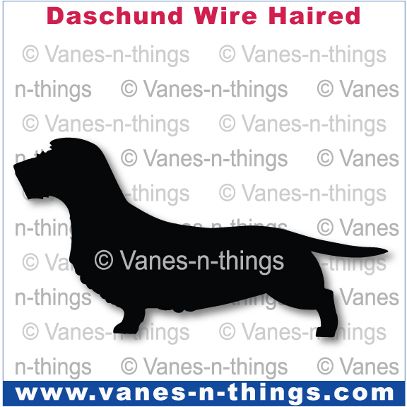 088 Dachshund Wired Haired