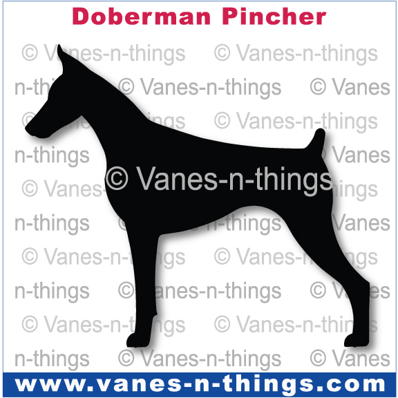 089 Doberman