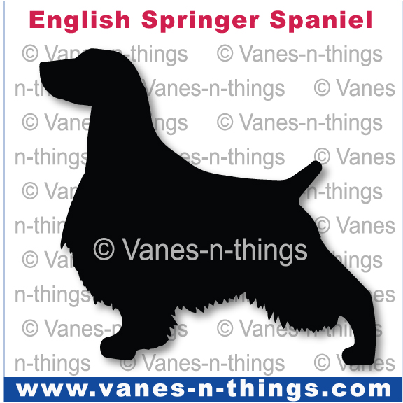 094 English Springer