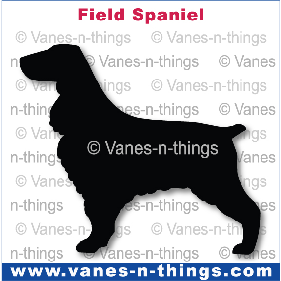 096 Field Spaniel