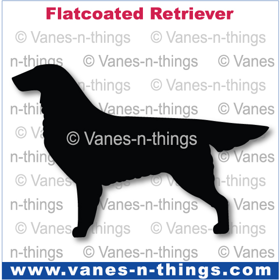 097 Flat-coated Retriever