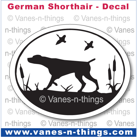 107 German Shorthaired Pointer