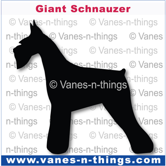 113 Giant Schnauzer (Drop Eared)